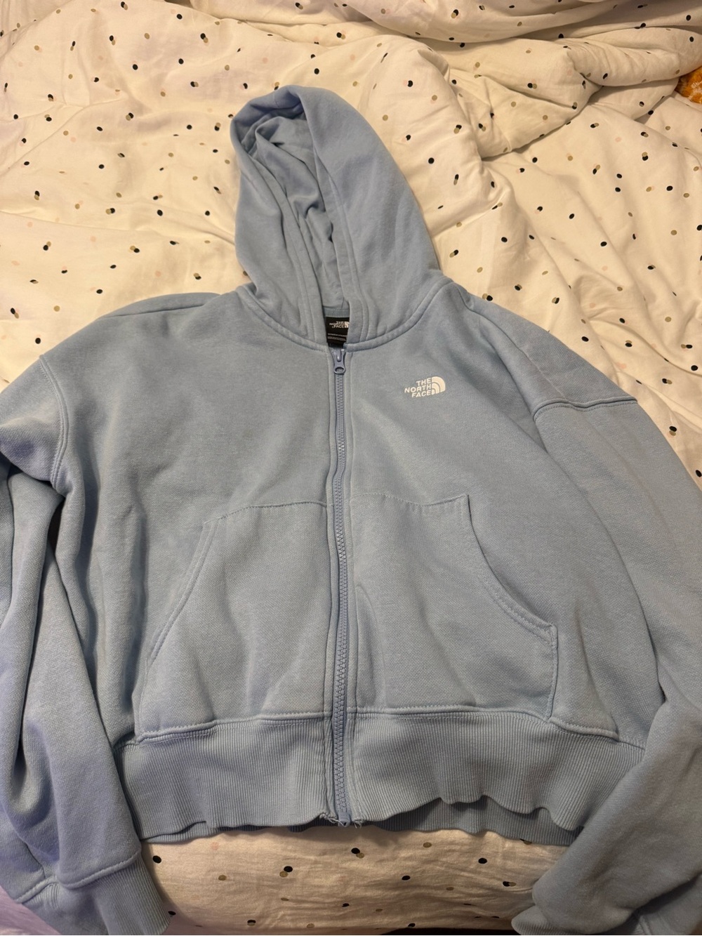 The North Face Pale Blue Full-Zip Hooded Fleece